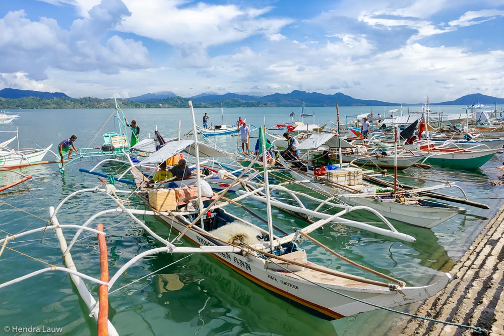 Boats at Concepcion Fish Port Iloilo Philippines